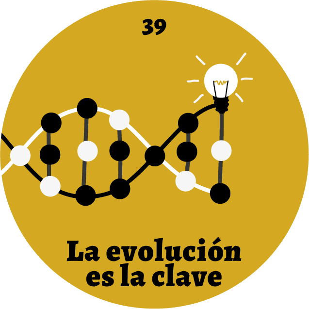 La evolución humana Panóptico 39 Destacada