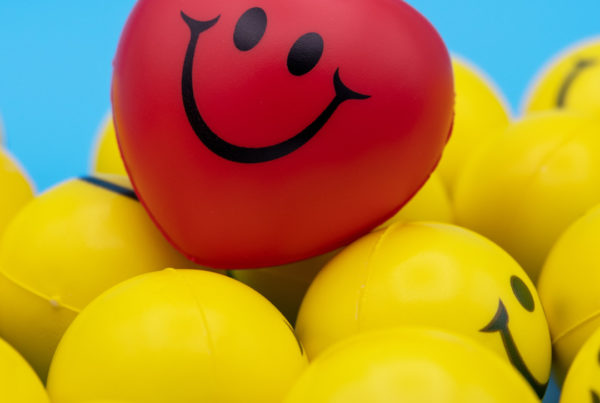 La búsqueda de la felicidad